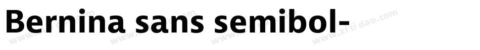 Bernina sans semibol字体转换